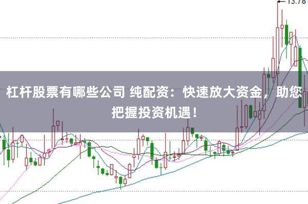 杠杆股票有哪些公司 纯配资：快速放大资金，助您把握投资机遇！