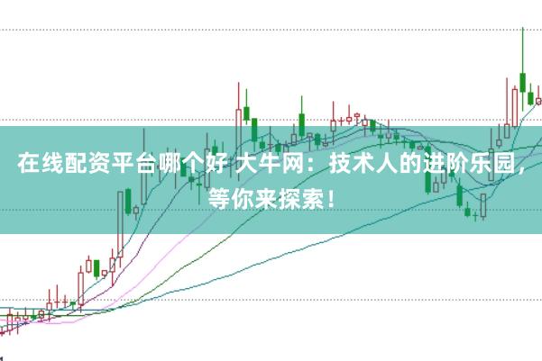 在线配资平台哪个好 大牛网：技术人的进阶乐园，等你来探索！