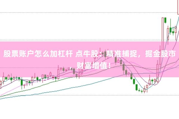 股票账户怎么加杠杆 点牛股：精准捕捉，掘金股市，财富增值！