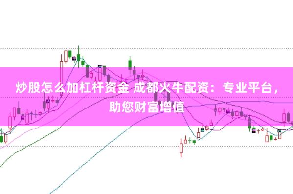 炒股怎么加杠杆资金 成都火牛配资：专业平台，助您财富增值