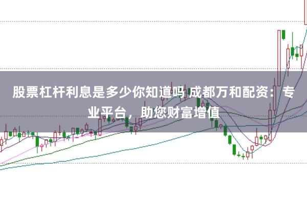 股票杠杆利息是多少你知道吗 成都万和配资：专业平台，助您财富增值