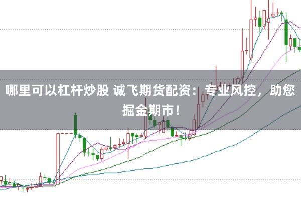 哪里可以杠杆炒股 诚飞期货配资：专业风控，助您掘金期市！