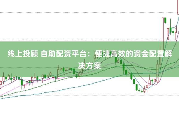 线上投顾 自助配资平台：便捷高效的资金配置解决方案