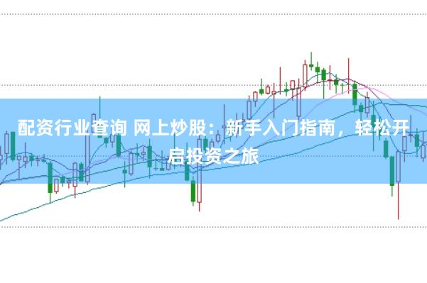 配资行业查询 网上炒股：新手入门指南，轻松开启投资之旅