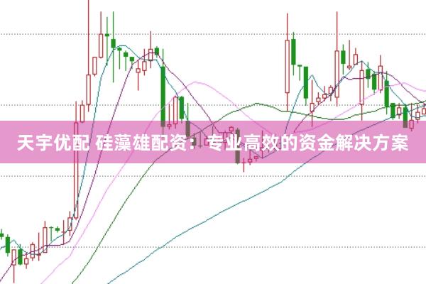 天宇优配 硅藻雄配资：专业高效的资金解决方案