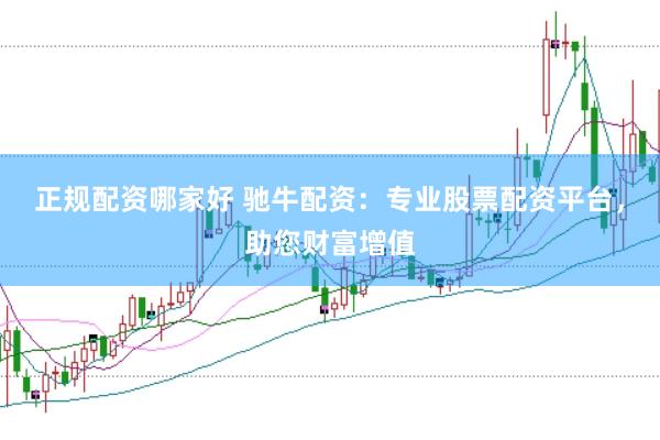 正规配资哪家好 驰牛配资:专业股票配资平台,助您财富增值
